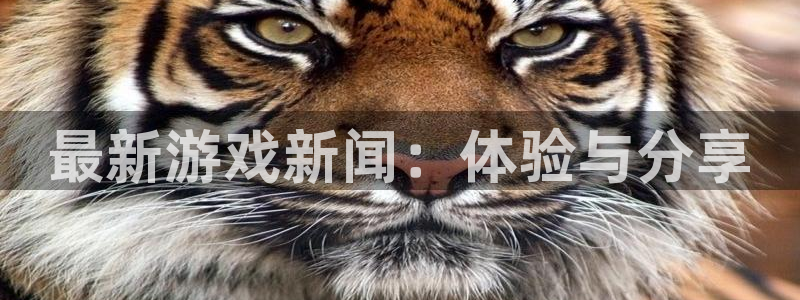 杜邦娱乐登陆测速：最新游戏新闻：体验与分享