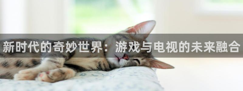 杜邦娱乐测速：新时代的奇妙世界：游戏与电视的未来融合