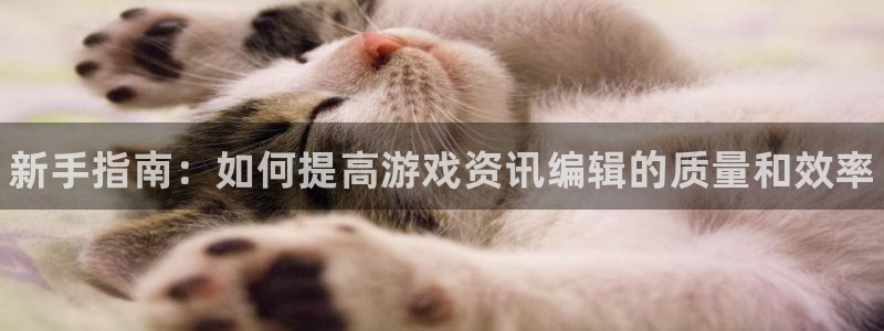 杜邦娱乐4招商：新手指南：如何提高游戏资讯编辑的质量和效率