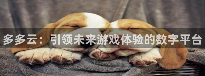 杜邦娱乐测速：多多云：引领未来游戏体验的数字平台