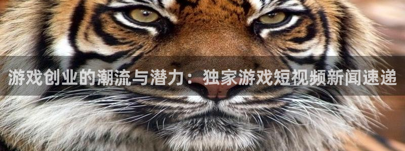 杜邦娱乐注册地址：游戏创业的潮流与潜力：独家游戏短视频新闻速