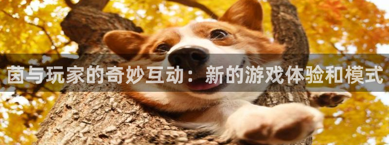 杜邦娱乐注册平台：茵与玩家的奇妙互动：新的游戏体验和模式