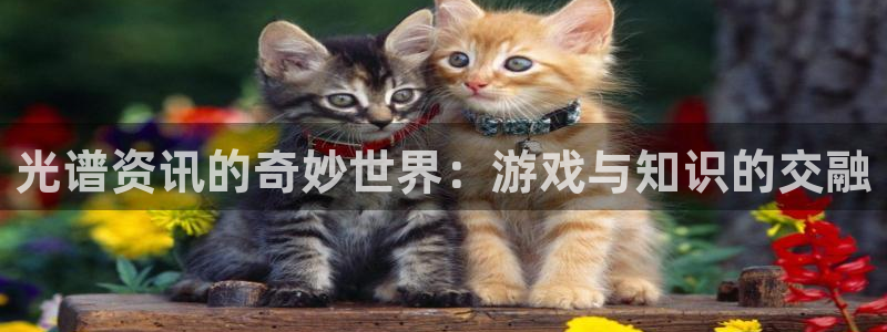 杜邦娱乐app下载：光谱资讯的奇妙世界：游戏与知识的交融