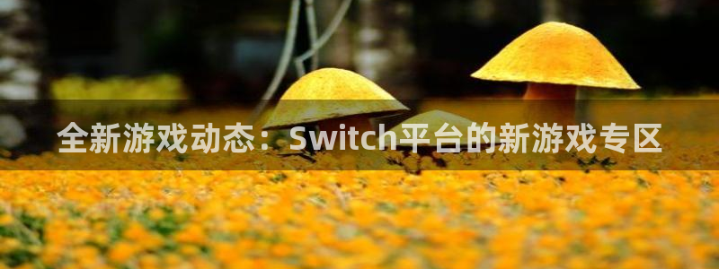 杜邦娱乐注册服务条款：全新游戏动态：Switch平台的新游戏