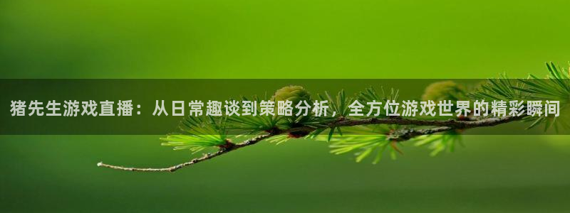 杜邦娱乐咨询：猪先生游戏直播：从日常趣谈到策略分析，全方位游