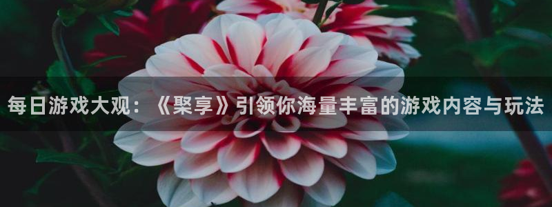 杜邦娱乐4开户：每日游戏大观：《棸享》引领你海量丰富的游戏内