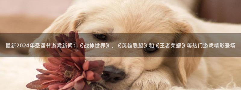 杜邦娱乐官网最新版本更新内容分享