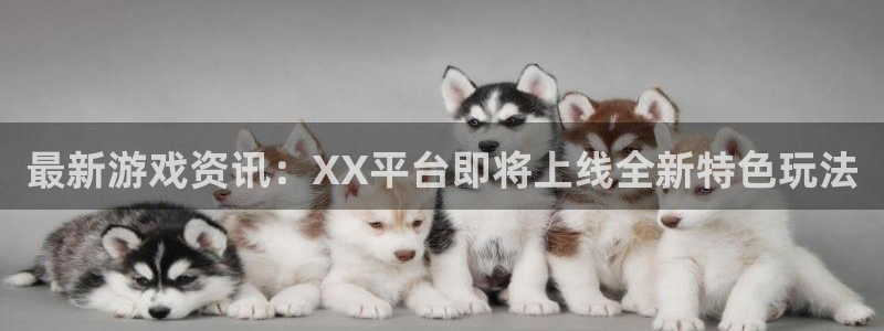 杜邦娱乐手机APP支付密码是不是取款密码
