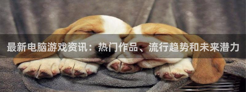 杜邦娱乐