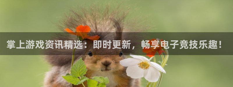 杜邦娱乐app官网入口在哪：掌上游戏资讯精选：即时更新，畅享